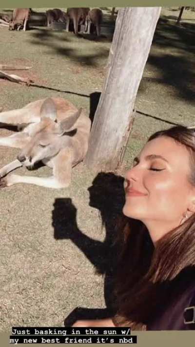 Basking in the sun