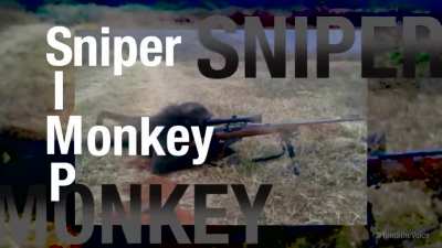 sniper monkey
