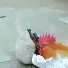 But why?