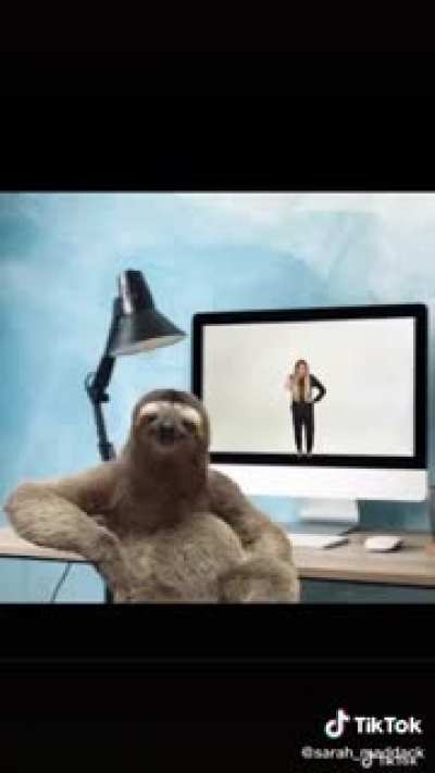 Goth Sloth.