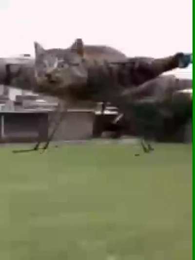 blursed helicopter