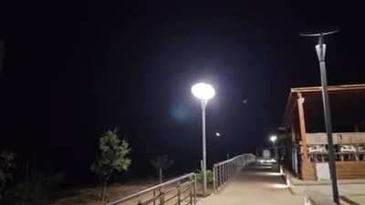 Bats in Cyprus