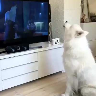 Зверо<wbr>полис
