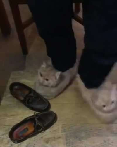 What? .... Twins?