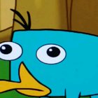 PERRY THE PL-------