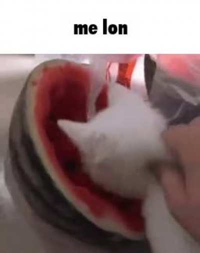 Rule