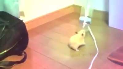 Turururururuuuuruurururururu (Sr.Vinicius