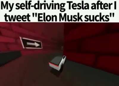 Wheeeeeeeeeee