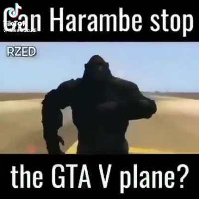 Johnington harambe