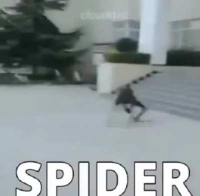 skater