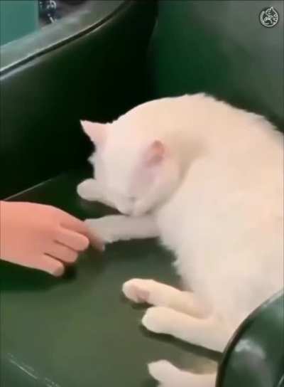 Q?