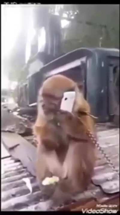 Lessloko - Video #7436