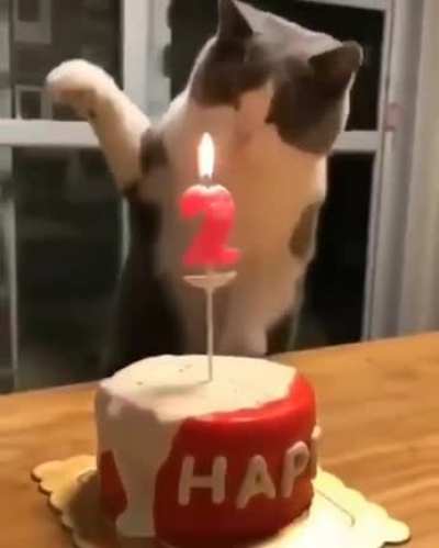 Wow!