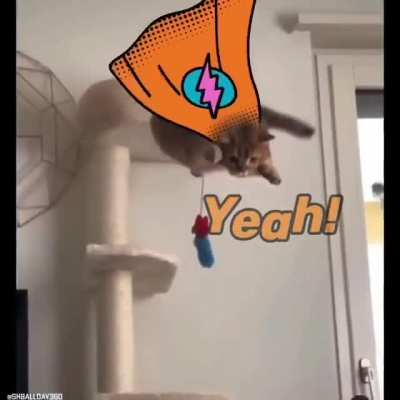 Super Kitty