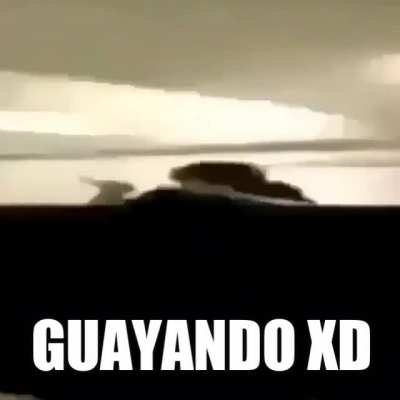 GUAYANDO