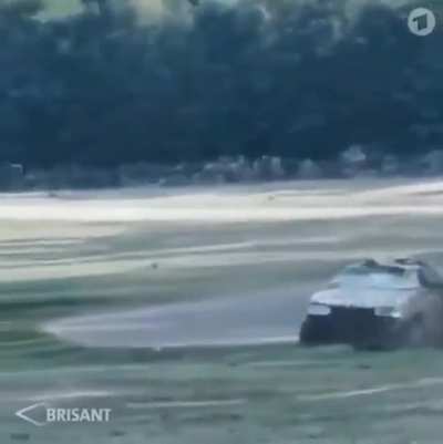 A different kind of idiot in a car- the kind that drives too close to dangerous wildlife.