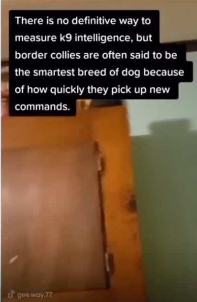Very intelligence