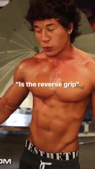 Best exercise for forearms