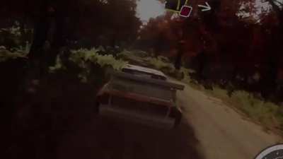 So I made Dirt rally 2.0 into a nutshell