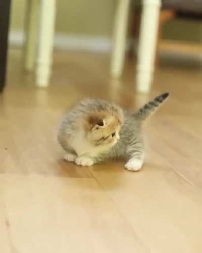 Illegally small