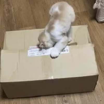 Special delivery
