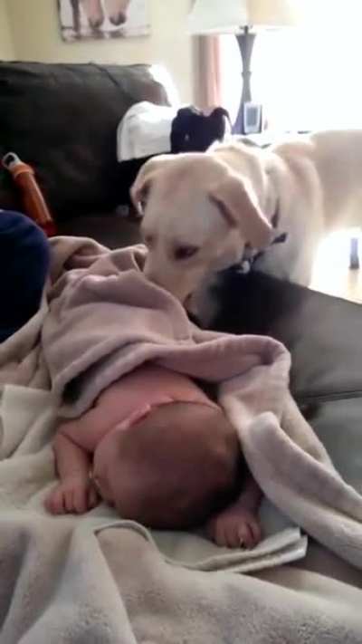 Time for a nap