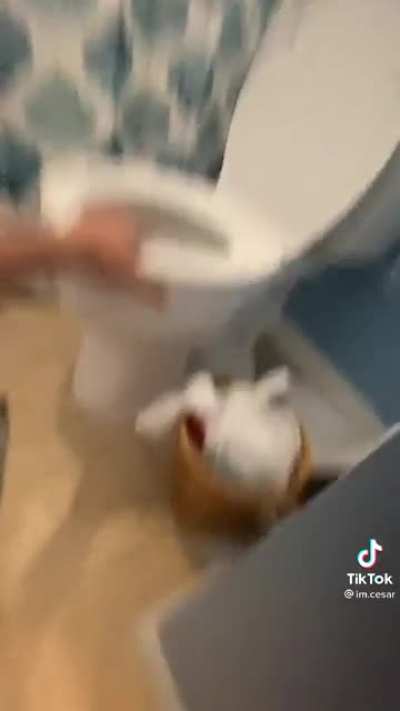 Bro died in front of the toilet