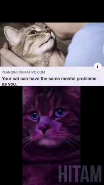 Not my lil bud