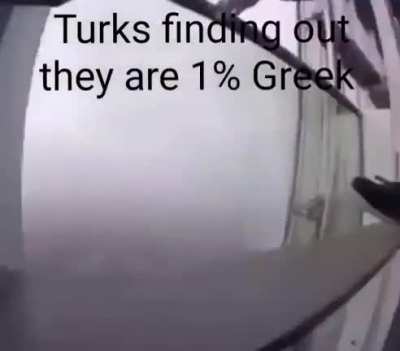 When Turkroaches Fly 🇹🇷🇹🇷🇹🇷