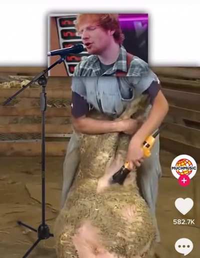 Blursed_Ed Shearing