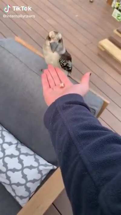 AHHH-