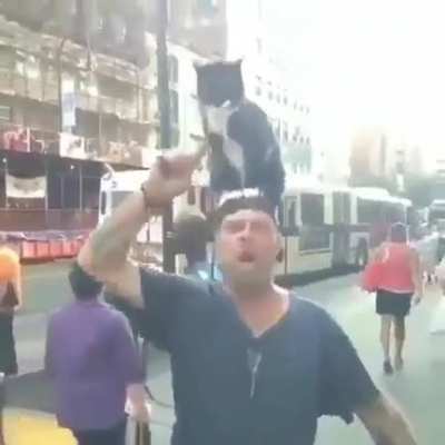 The cat it’s changing him