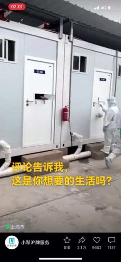 紫蜡烛们，开饭啦！
