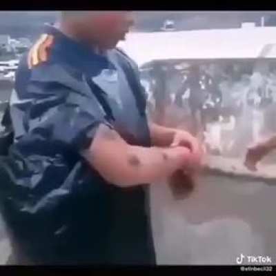 La caída del muro de Berlín be like: