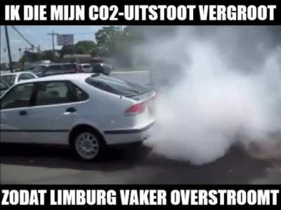 *Veluwse blik van superioriteit*