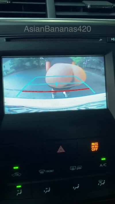 POV: You're trying to reverse you car