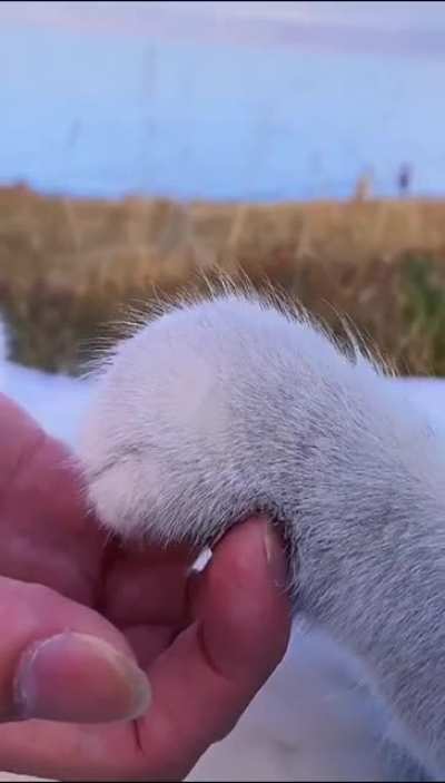 Котор<wbr>омант<wbr>ика