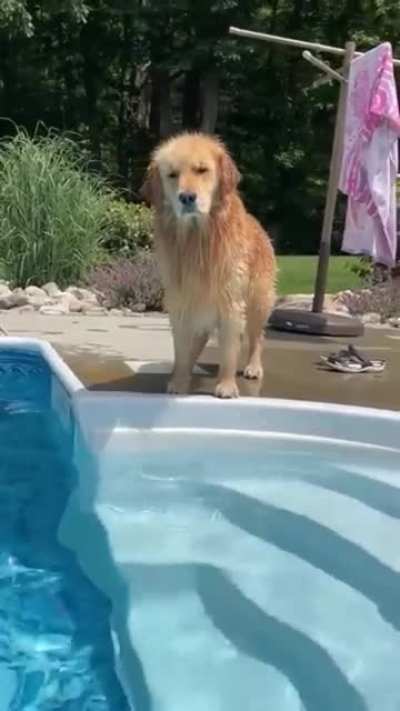 “I can’t believe you’ve done this”