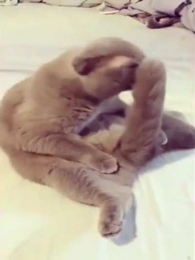Wtf
