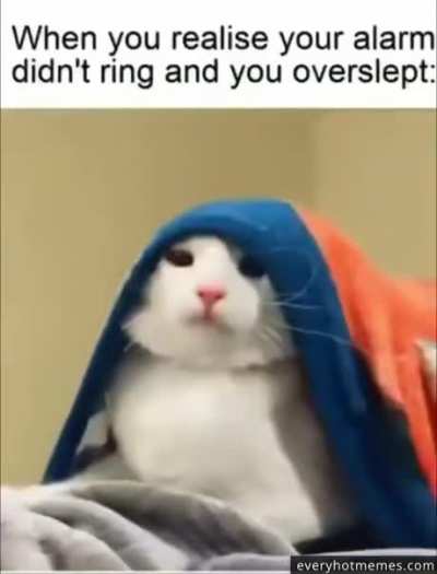 Meirl