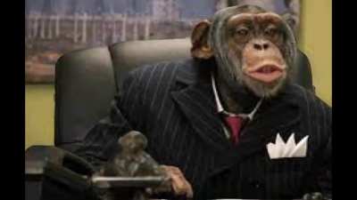 62 monkeys