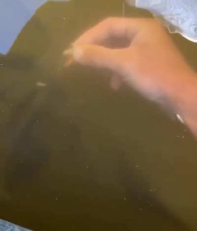 You’re not a fish!!!