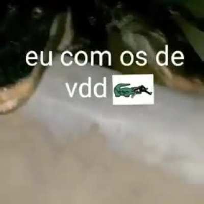 Os de vdds sei quem são 😎✋