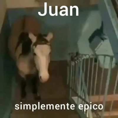 no intentes comprenderlo, solo gózalo