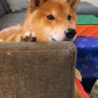 No touchy