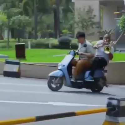 *Confused motorcycle noises*