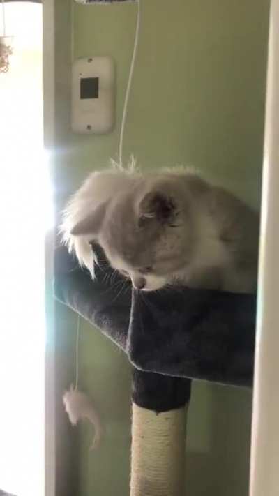 Oh... Hi There