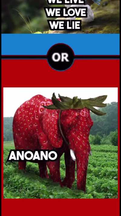 🤔
