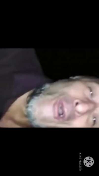 pal dylan