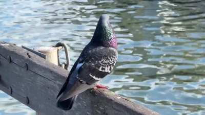 Cute boy was looking for a girl